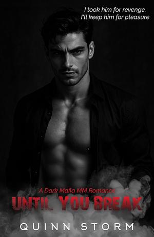 Until You Break: A Dark Mafia MM Romance by Quinn Storm