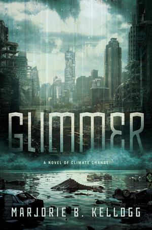 Glimmer by Marjorie B. Kellogg