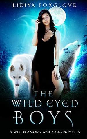 The Wild-Eyed Boys (A Witch Among Warlocks #0.5)