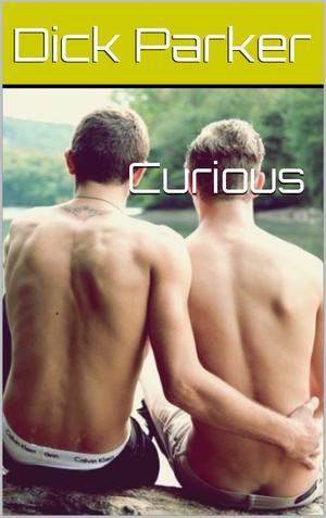 Curious by Dick Parker