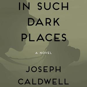 In Such Dark Places: A Novel by Joseph Caldwell