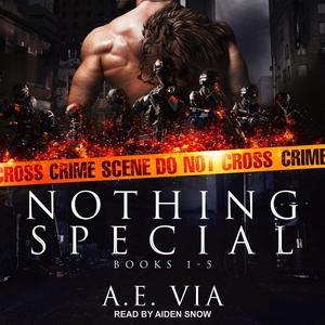 Nothing Special Series Box Set, Books 1-5 by A.E. Via, Aiden Snow, Tantor Audio