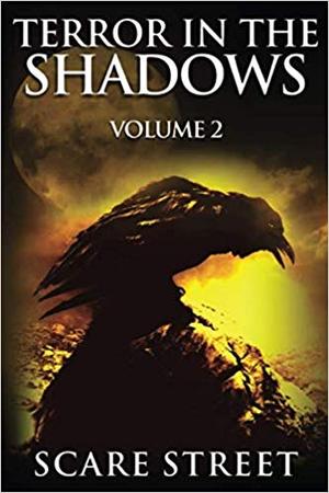 Terror in the Shadows: Volume 2 by Ron Ripley, David Longhorn, Sara Clancy, Sharon M. White, Julia Grace, A.I. Nasser