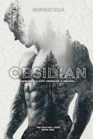 Obsidian: A Dark MM Romance by Greyson Vale