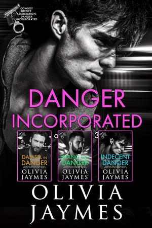 Danger Incorporated Books 1 - 3 (Danger Incorporated #1-3)