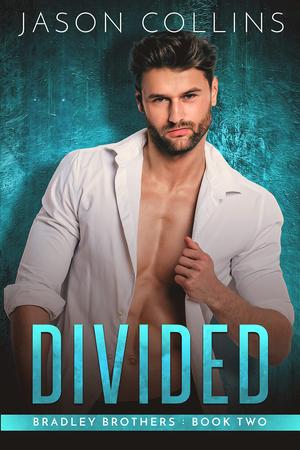 Divided (Bradley Brothers #2)