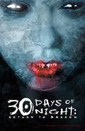 30 Days of Night, Vol. 4: Return to Barrow by Steve Niles, Ben Templesmith