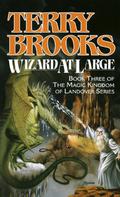 Wizard at Large by Terry Brooks