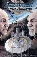 Star Trek: The Next Generation: Through the Mirror (Star Trek Mirror Saga #2) by David Tipton