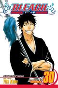 Bleach, Volume 30 (Bleach #30) by Anne-Sophie Thévenon