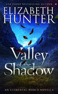 Valley of the Shadow by Elizabeth Hunter