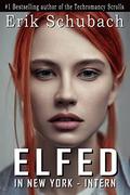 Intern (Elfed in New York #1) by Erik Schubach