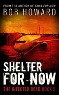Shelter for Now by Bob Howard