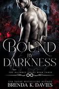 Bound by Darkness by Brenda K. Davies