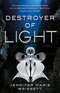 Destroyer of Light by Jennifer Marie Brissett
