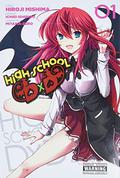 High School DxD, Vol. 1 (High School DxD manga #1) by Hiroji Mishima