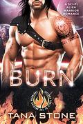 Burn: by Tana Stone