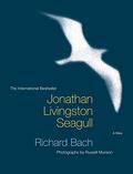 Jonathan Livingston Seagull by Russell Munson