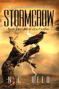 Birds of a Feather  (Stormcrow #2) by N.C. Reed