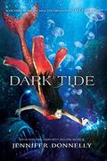 Dark Tide by Jennifer Donnelly