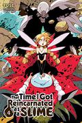 That Time I Got Reincarnated as a Slime Light Novels, Vol. 4 by Fuse