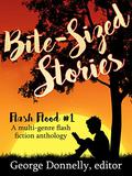Bite-Sized Stories: A Multi-Genre Flash Fiction Anthology  (Flash Flood Book 1) by Jamie Campbell