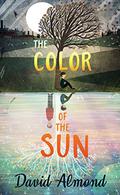 The Color of the Sun by David Almond