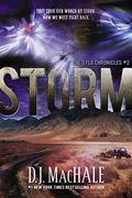 Storm by D.J. MacHale