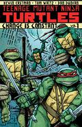 Teenage Mutant Ninja Turtles, Volume 1: Change is Constant (Teenage Mutant Ninja Turtles IDW Publishing #1) by Dan Duncan