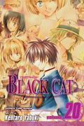 Black Cat, Volume 20 (Black Cat #20) by Kentaro Yabuki