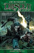 Jim Butcher's the Dresden Files Omnibus Volume 2 (The Dresden Files Graphic Novels #3-5) by Mark Powers