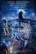 Under a Winter Sky (A Stitch in Time #1.5 Ballgowns & Butterflies) by L. Penelope