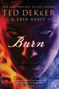 Burn by Erin Healy