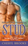 Stud by Cheryl Brooks