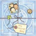 The Secret Box by Barbara Lehman
