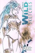 Wild Sketches 2 (Wild Sketches #2) by Luis Royo