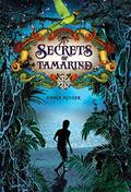 Secrets of Tamarind (Tamarind #2) by Nadia Aguiar