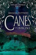 Canes of Divergence by Breeana Puttroff