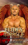 Eliza's Miracle by S.J. Sanders