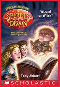 Wizard or Witch? (The Secrets of Droon: Special Edition #2) by David Merrell