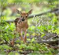 Lost in the Woods by Carl R. Sams II, Jean Stoick