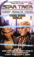 The 34th Rule (Star Trek: Deep Space Nine #23) by Armin Shimerman