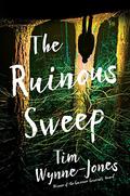 The Ruinous Sweep by Tim Wynne-Jones