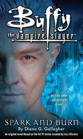 Spark and Burn (Buffy the Vampire Slayer: Season 7-8 #4) by Diana G. Gallagher