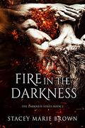 Fire in the Darkness by Stacey Marie Brown