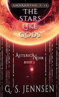 The Stars Like Gods by G.S. Jennsen