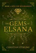 Into the Wildbarrens (The Gems of Elsana #1) by Christian Sterling