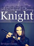 A Dark and Stormy Knight by Bridget Essex