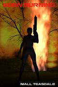 Eden Burning by Niall Teasdale