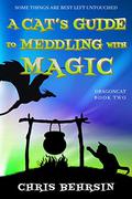 A Cat's Guide to Meddling with Magic (Dragoncat #2) by Chris Behrsin